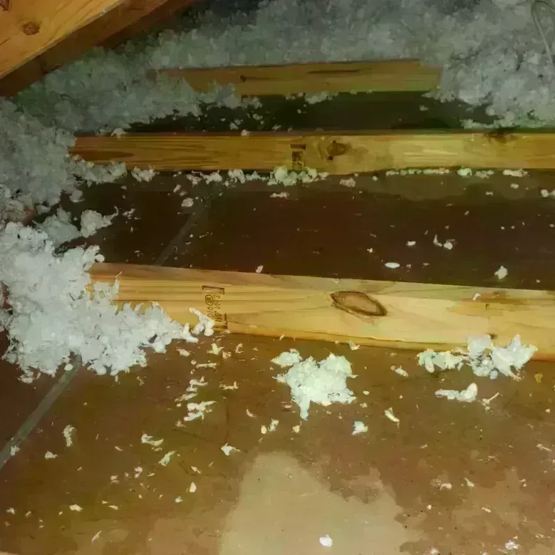 Attic Water Damage in Lluveras, PR